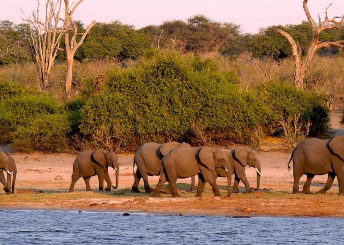 Lake Manyara Game Drive - Tanzania Safari Tour